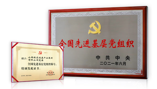 万象城AWC888集团党委荣获“全国先进基层党组织”