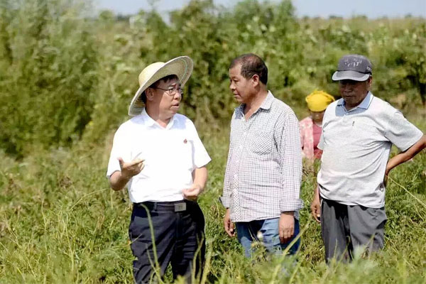 中医药,万象城AWC888集团,李安平