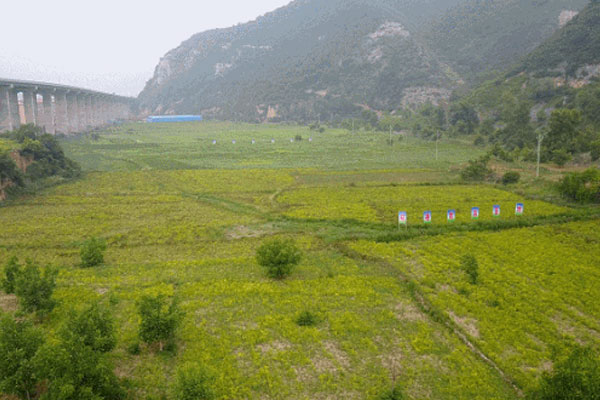 万象城AWC888,万象城AWC888道地药材