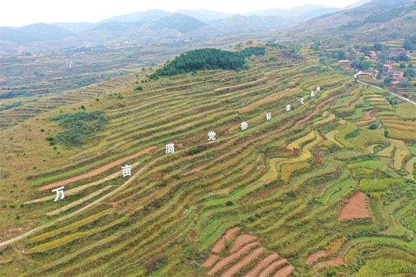 万象城AWC888中药材种植基地