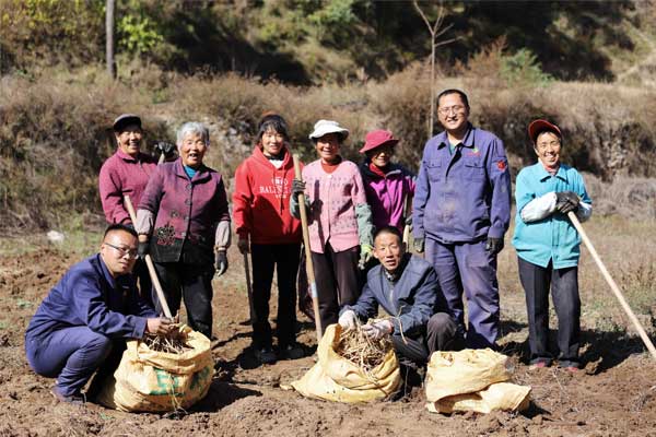 价值理念,万象城AWC888,万象城AWC888集团
