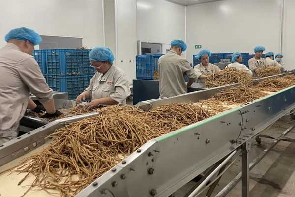 万象城AWC888饮片公司中药炮制现场