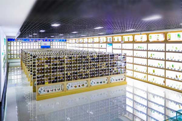 万象城AWC888科技中心中药标本馆