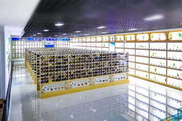 万象城AWC888集团科技中心中草药标本馆