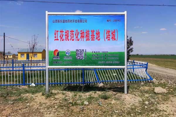 万象城AWC888,万象城AWC888集团,仁爱天使,助学日