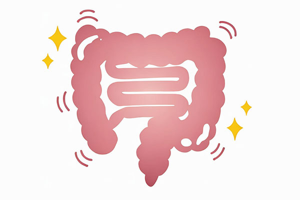 肠胃,调理肠胃,调理肠胃的方法