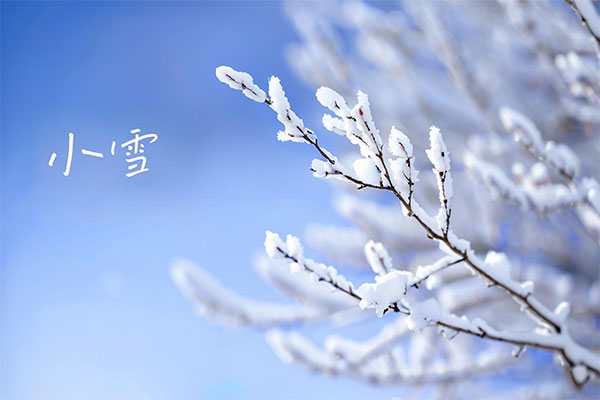 小雪,小雪养生