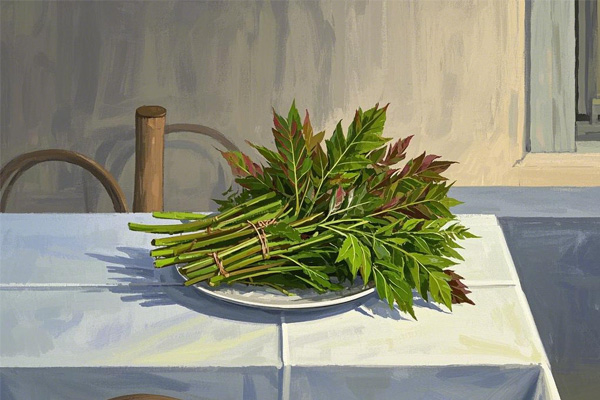 野菜,香椿