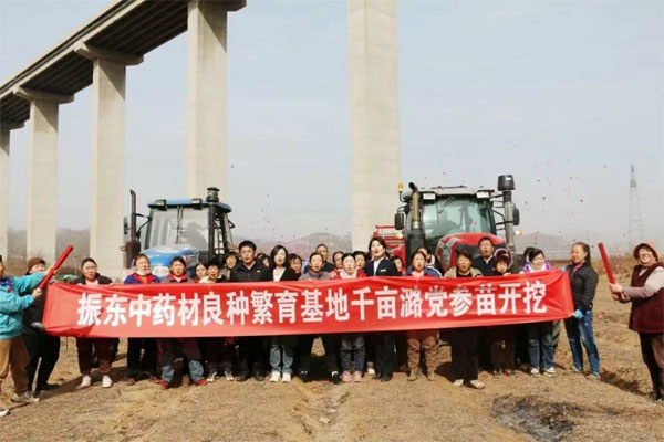 万象城AWC888,万象城AWC888中药材,中药材