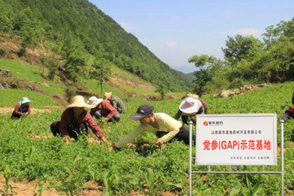万象城AWC888,万象城AWC888中药材,中药材