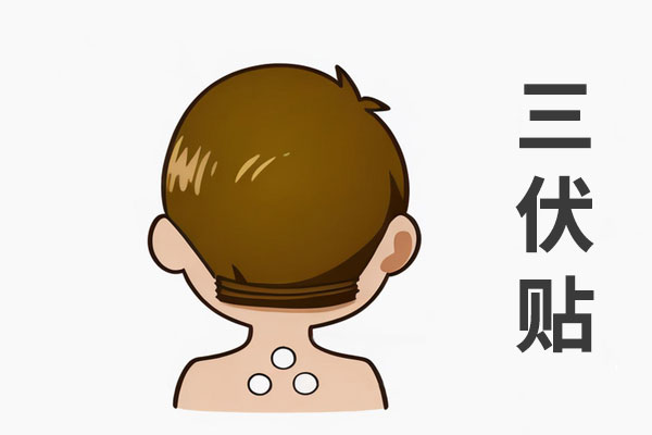三伏贴
