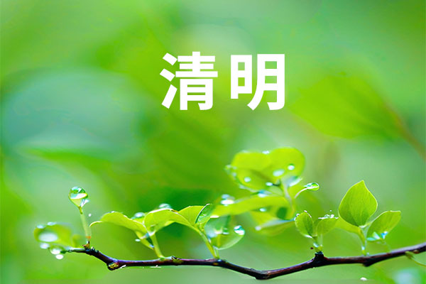 清明养生