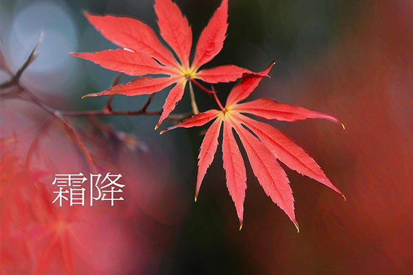 霜降养生,防寒保暖,防燥润身,防郁调情,运动养生,饮食调养