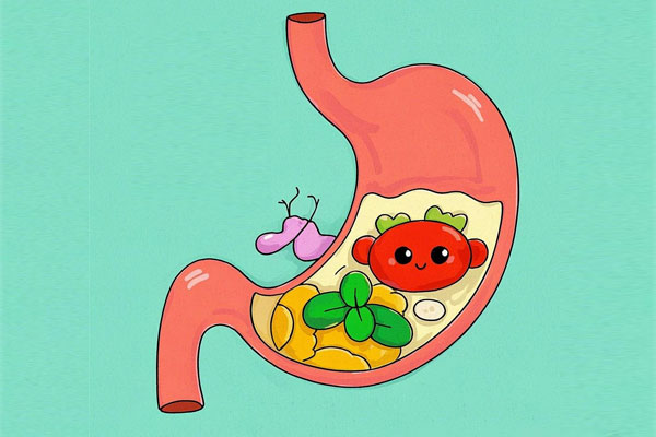 秋季养生,防秋凉,饮食调理,温性食材,暖身食谱