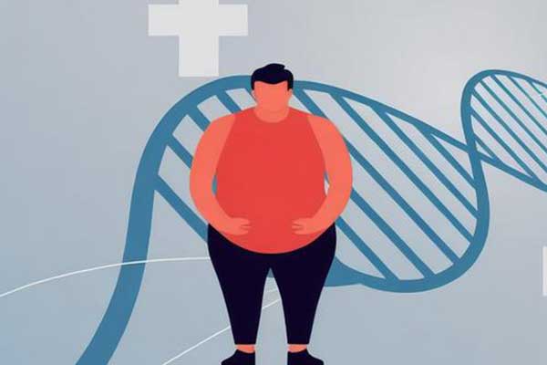 贴秋膘,科学方法,健康食谱,不长胖