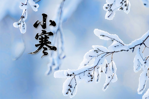 小寒养生,三防三养三动,健康养生