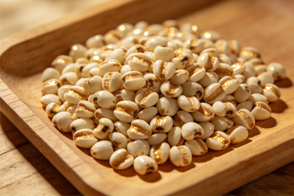 薏苡仁,药用价值,食用价值,经典食谱