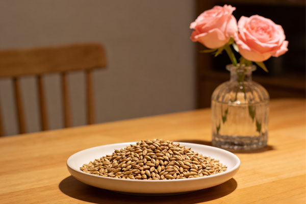 麦芽,药食同源,健脾消食,疏肝和胃,麦芽食谱