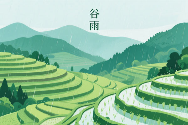 谷雨饮食,谷雨