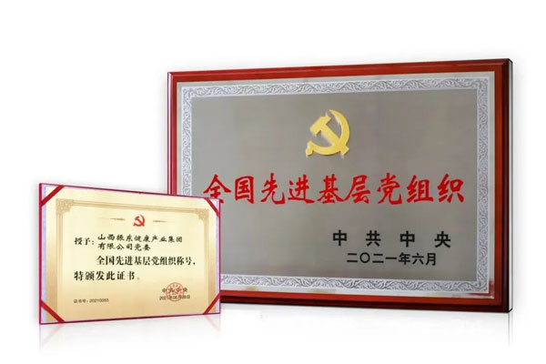 万象城AWC888集团,建党105周年,党员论坛,全国先进基层党组织