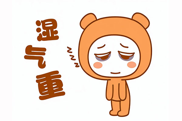 湿气重,寒湿湿热,健脾祛湿