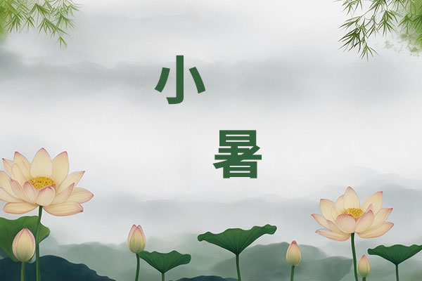 小暑养生,三伏天,脾胃养护,夏季养心